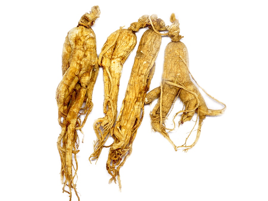 White ginseng root whole